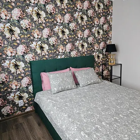 Koknese City Apartment דירה *